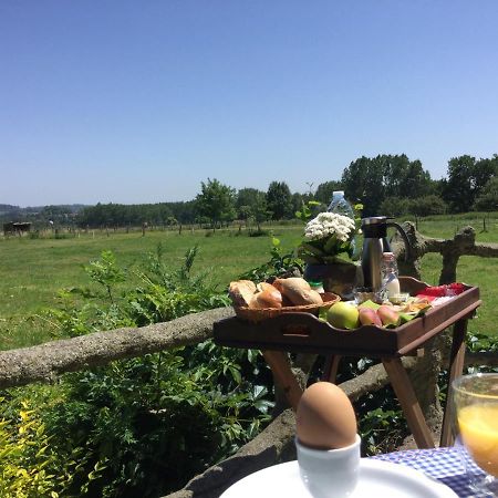 B&B Belvedere Brakel Kültér fotó